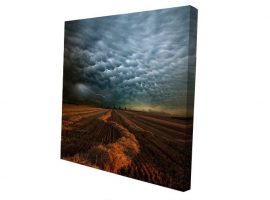 Пред-испружена платно